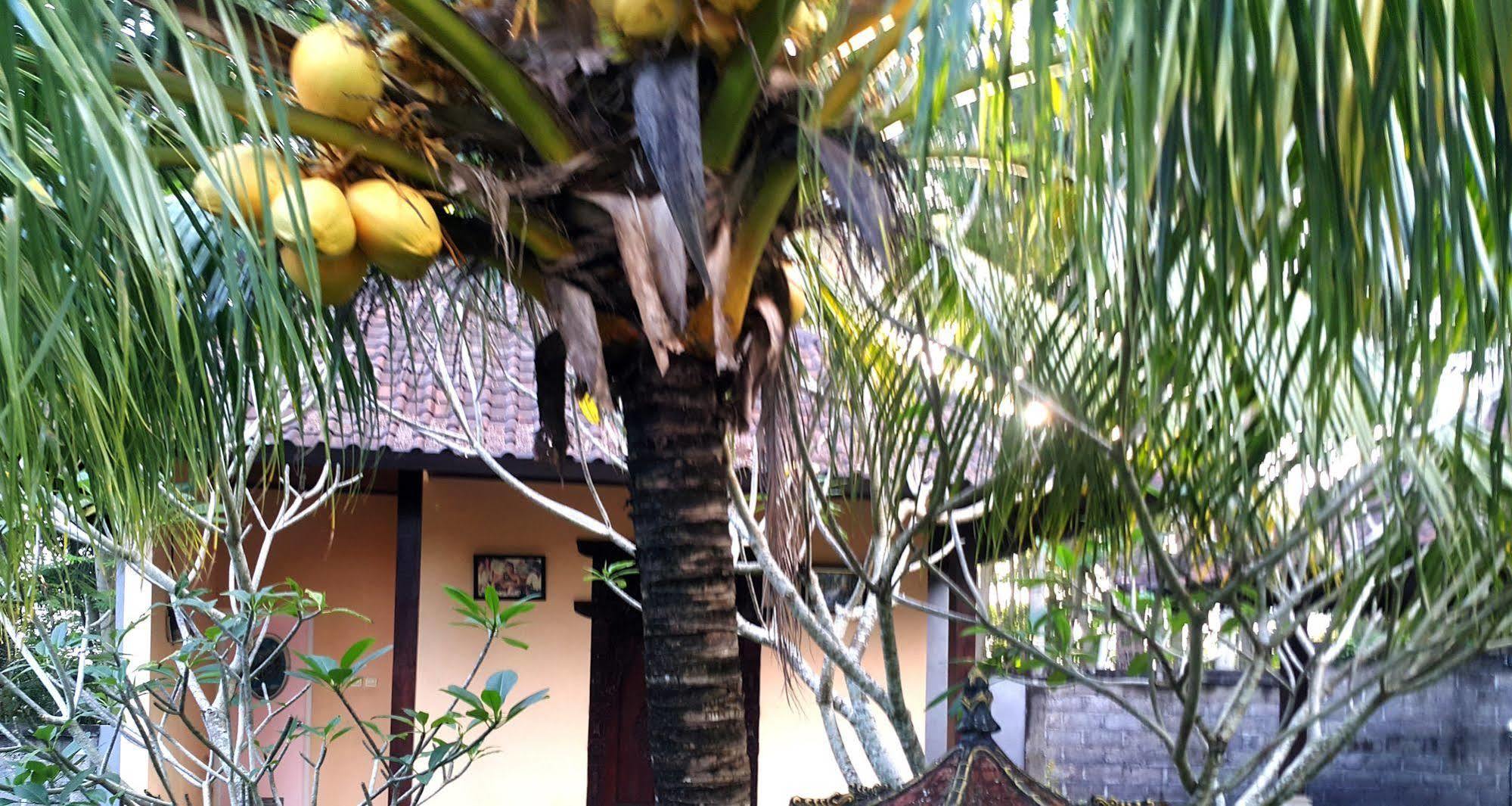 Wahyu Dewata Hotel Gianyar  Exterior photo